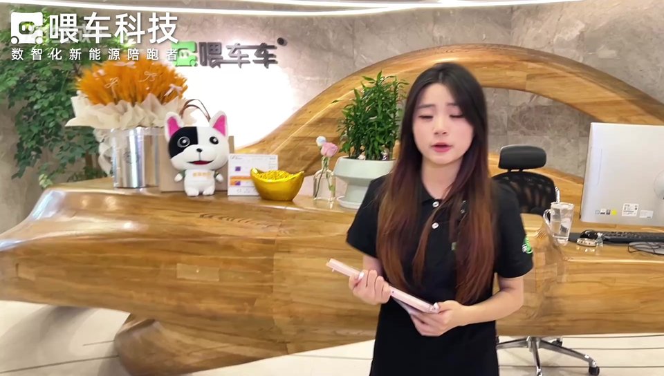 喂车科技支付即开票抢先体验